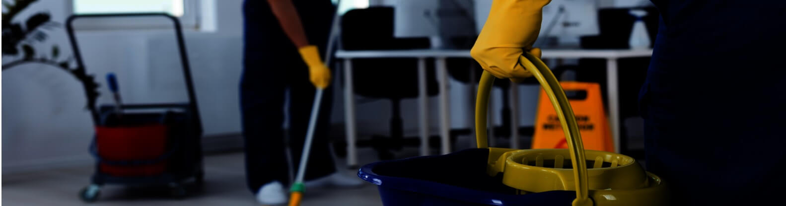 Limpeza Predial